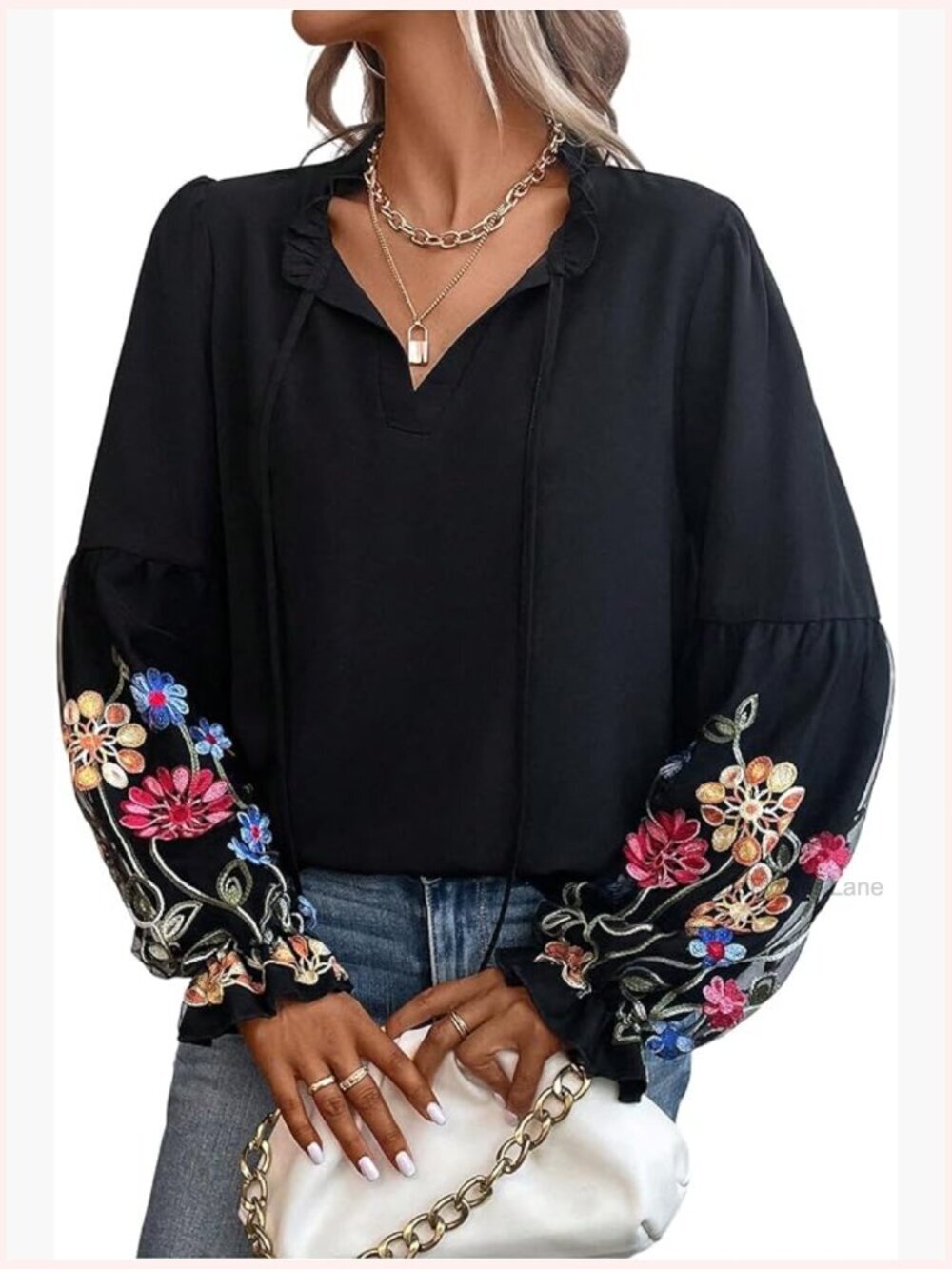 Floral Embroidered Peasant Blouse Tie Neck Lantern Sleeve Top